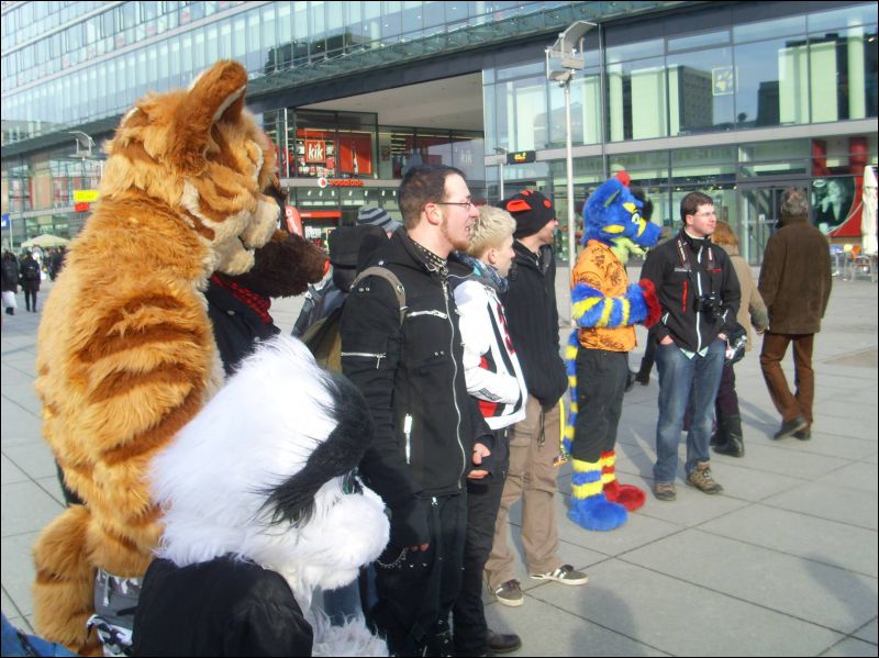 [Dresden_Furmeet_23032013_Gruenfuchs (78).JPG]