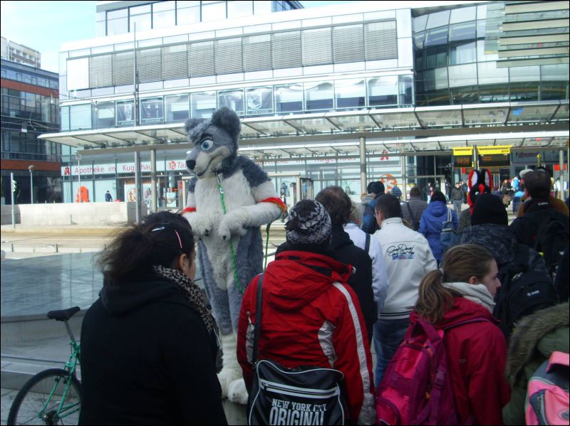 [Dresden_Furmeet_23032013_Gruenfuchs (9).JPG]