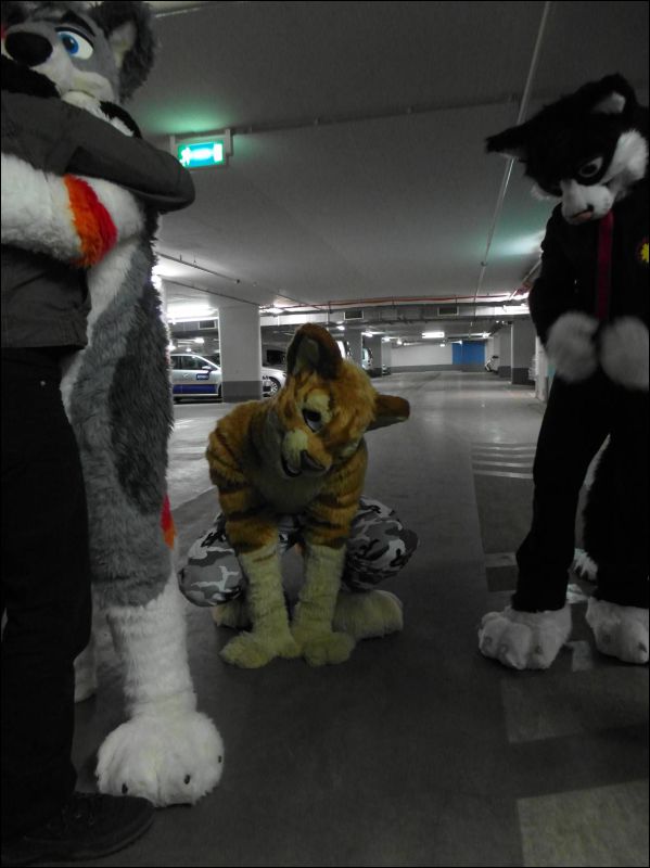 [Dresden_Furmeet_23032013_Lee (10).JPG]