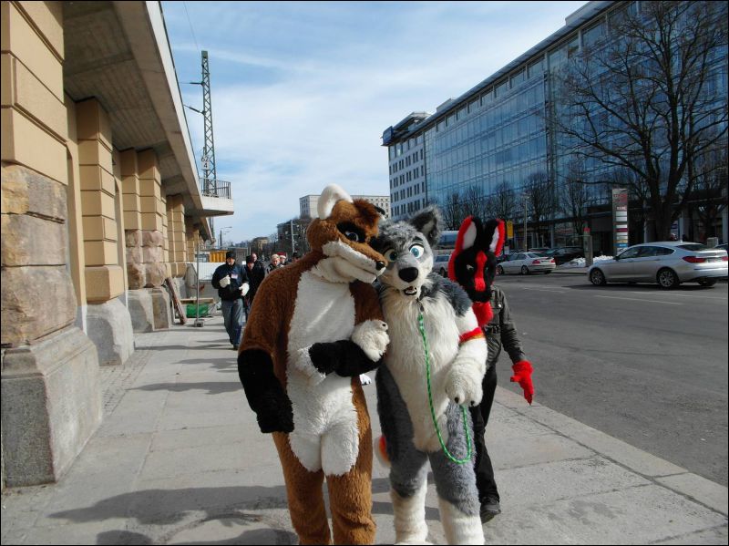 [Dresden_Furmeet_23032013_Lee (22).JPG]