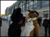 [Dresden Furmeet 23032013 Lee (27)]