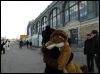 [Dresden Furmeet 23032013 Lee (29)]