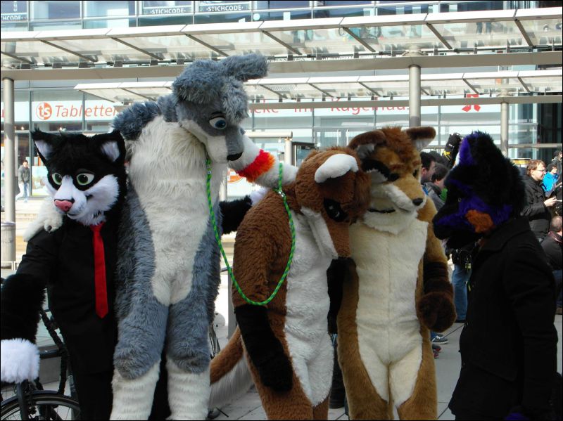 [Dresden_Furmeet_23032013_Lee (32).JPG]