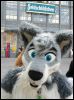 [Dresden Furmeet 23032013 Lee (34)]