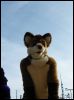 [Dresden Furmeet 23032013 Lee (36)]