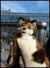 [Dresden Furmeet 23032013 Lee (37)]