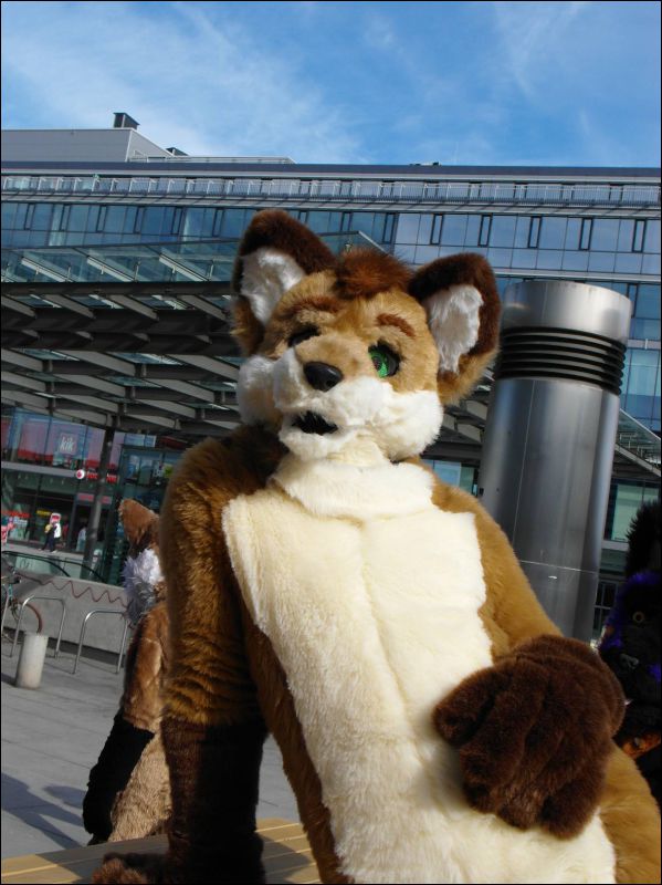 [Dresden_Furmeet_23032013_Lee (37).JPG]