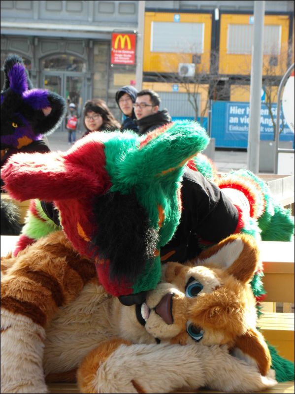 [Dresden_Furmeet_23032013_Lee (39).JPG]