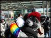 [Dresden Furmeet 23032013 Lee (41)]