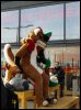 [Dresden Furmeet 23032013 Lee (43)]