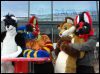 [Dresden Furmeet 23032013 Lee (48)]