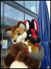 [Dresden Furmeet 23032013 Lee (49)]