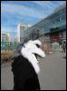 [Dresden Furmeet 23032013 Lee (53)]