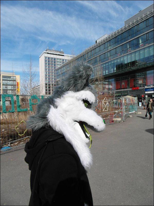 [Dresden_Furmeet_23032013_Lee (53).JPG]