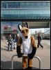 [Dresden Furmeet 23032013 Lee (55)]