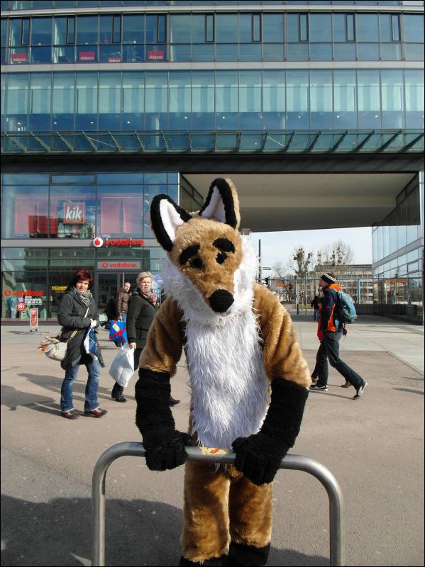 [Dresden_Furmeet_23032013_Lee (55).JPG]