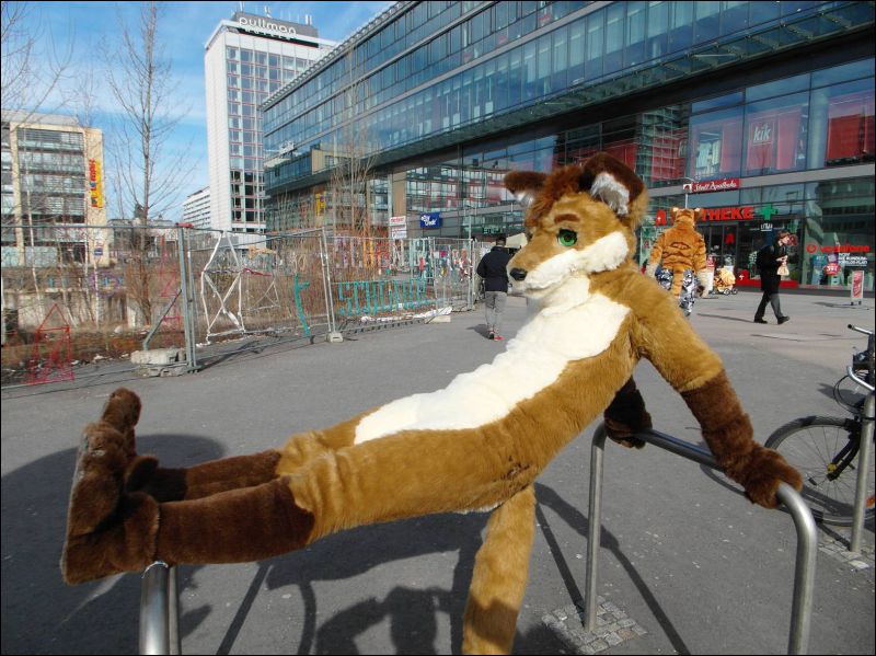 [Dresden_Furmeet_23032013_Lee (56).JPG]