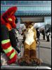 [Dresden Furmeet 23032013 Lee (57)]