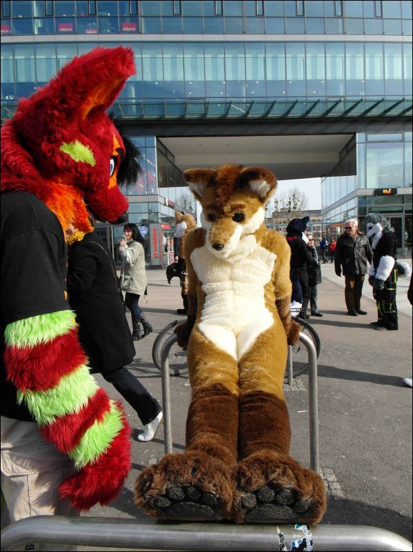 [Dresden_Furmeet_23032013_Lee (57).JPG]