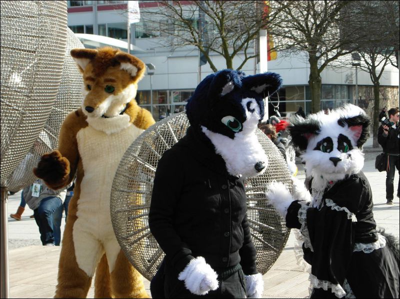 [Dresden_Furmeet_23032013_Lee (65).JPG]