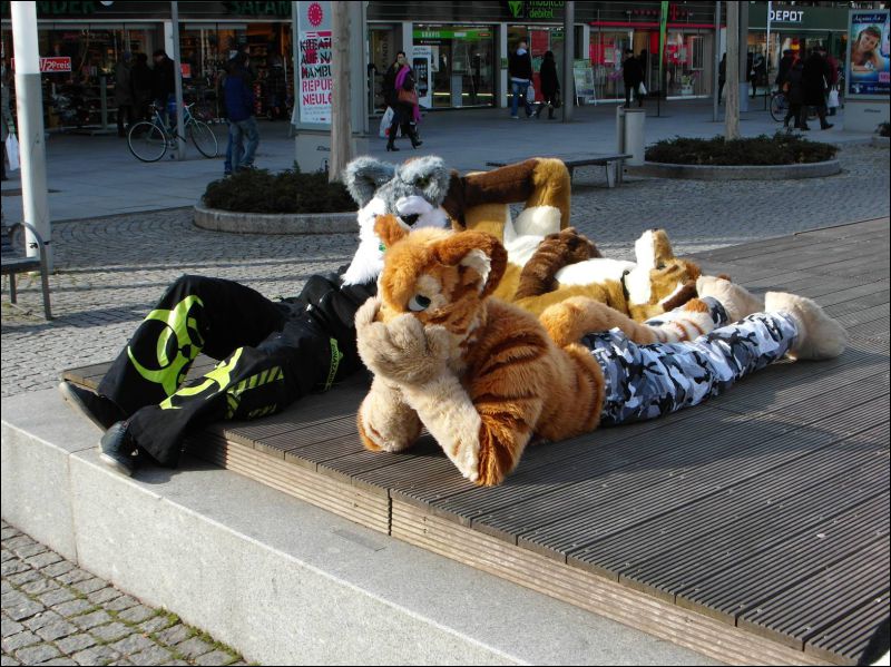 [Dresden_Furmeet_23032013_Lee (70).JPG]