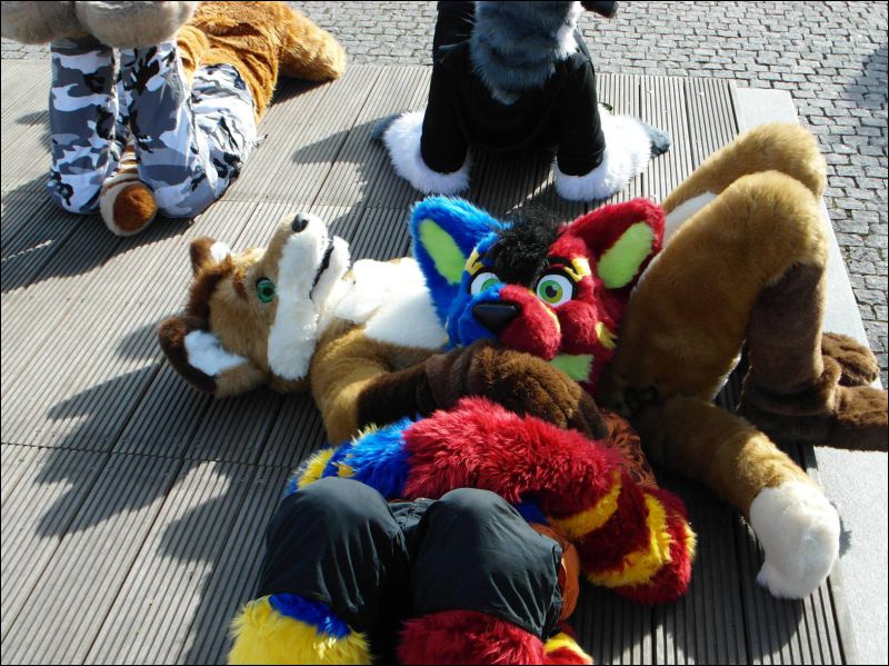 [Dresden_Furmeet_23032013_Lee (72).JPG]