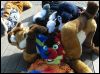 [Dresden Furmeet 23032013 Lee (73)]