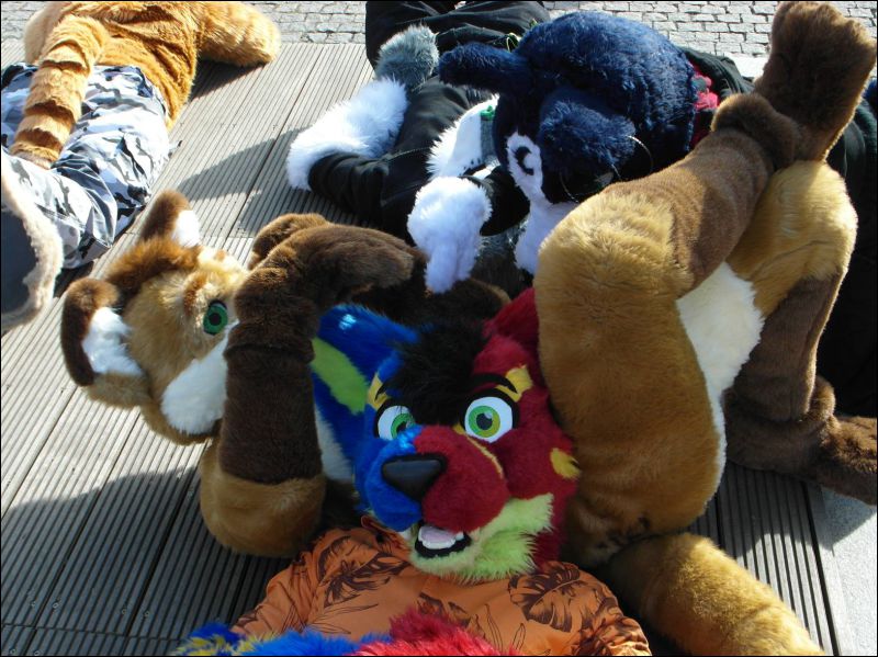 [Dresden_Furmeet_23032013_Lee (73).JPG]