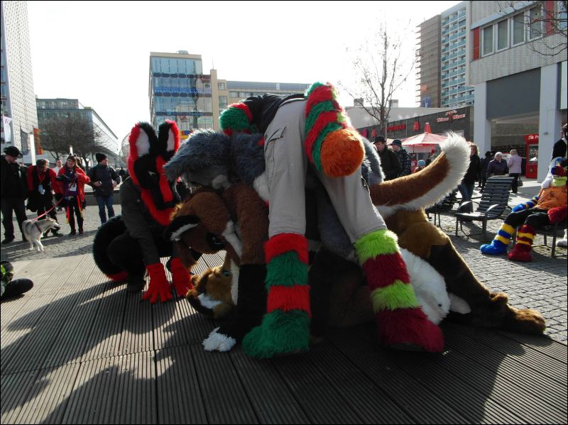 [Dresden_Furmeet_23032013_Lee (75).JPG]