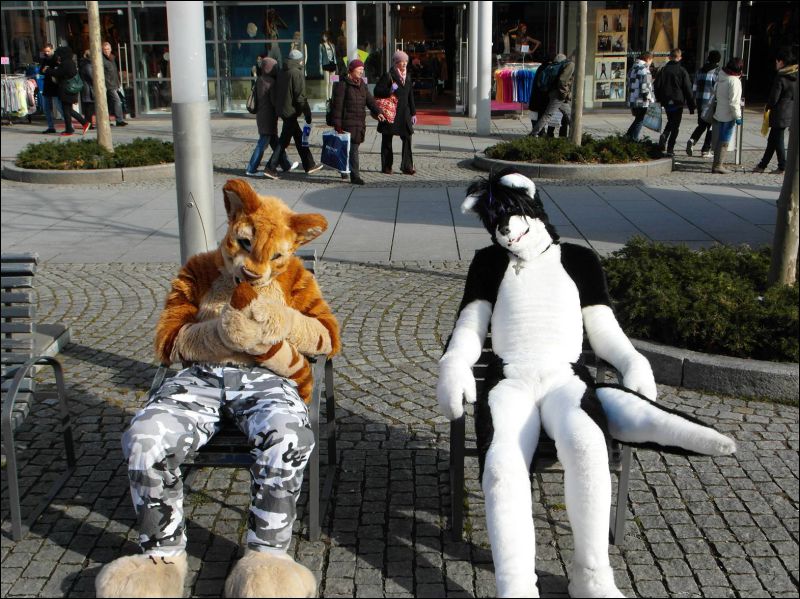 [Dresden_Furmeet_23032013_Lee (78).JPG]