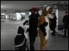 [Dresden Furmeet 23032013 Lee (8)]