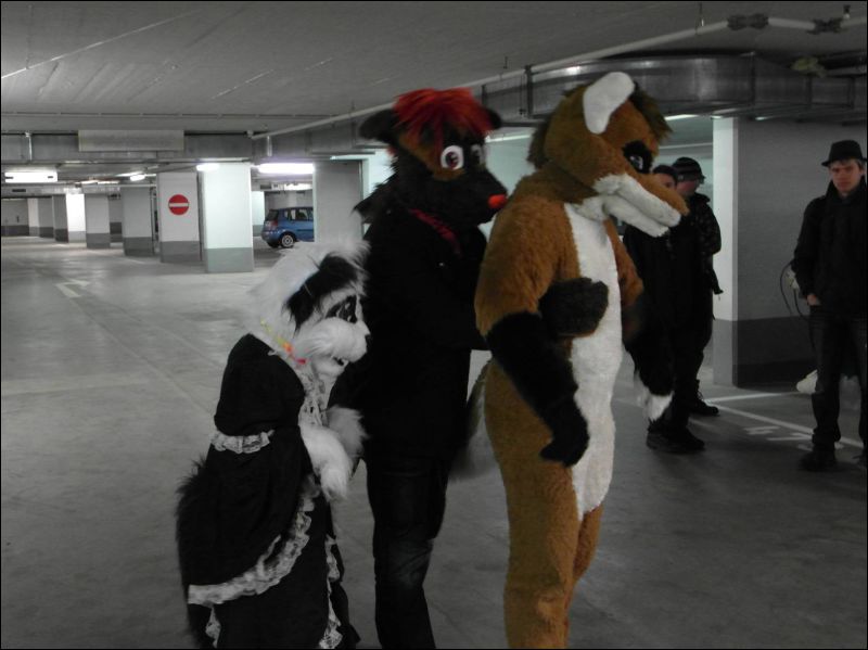 [Dresden_Furmeet_23032013_Lee (8).JPG]