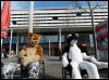 [Dresden Furmeet 23032013 Lee (81)]