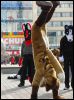 [Dresden Furmeet 23032013 Lee (82)]