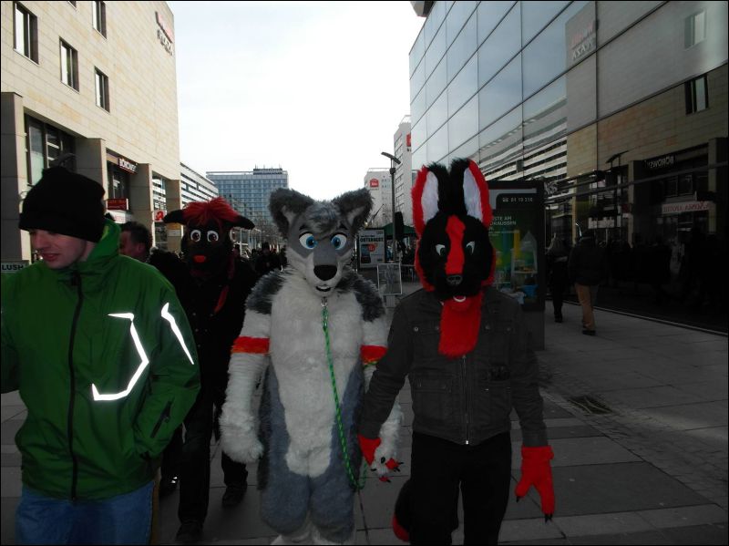 [Dresden_Furmeet_23032013_Lee (96).JPG]