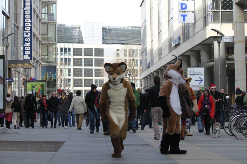 [Furmeet_Dresden_23032013_Nimmermehr (118).JPG]