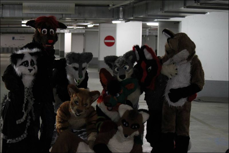 [Furmeet_Dresden_23032013_Nimmermehr (30).JPG]