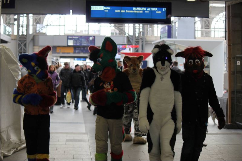 [Furmeet_Dresden_23032013_Nimmermehr (43).JPG]