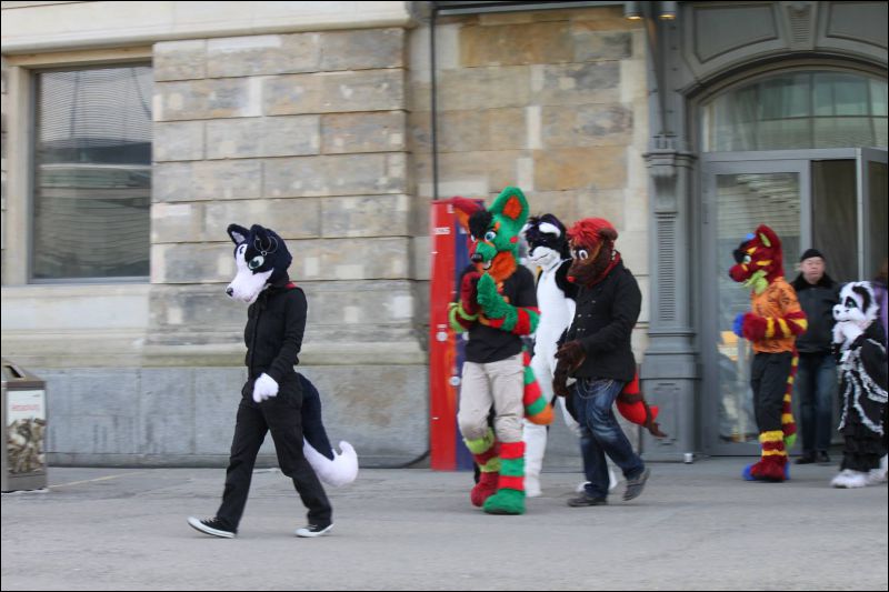 [Furmeet_Dresden_23032013_Nimmermehr (45).JPG]