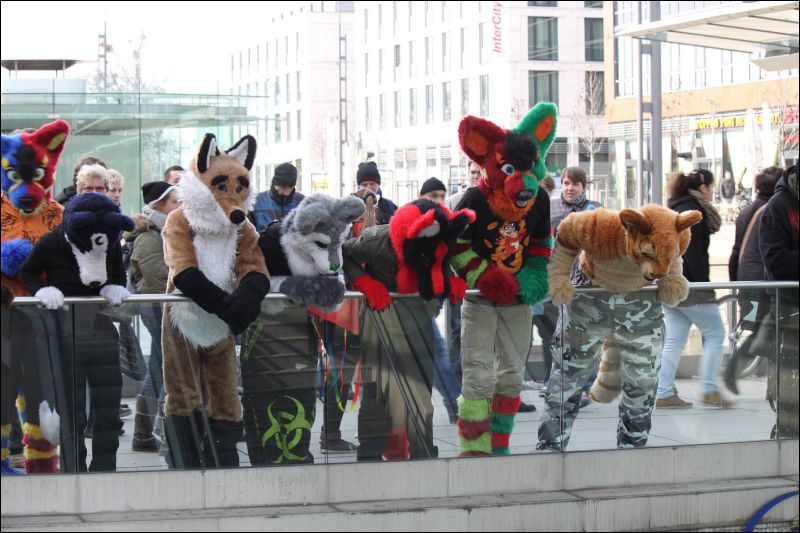 [Furmeet_Dresden_23032013_Nimmermehr (47).JPG]