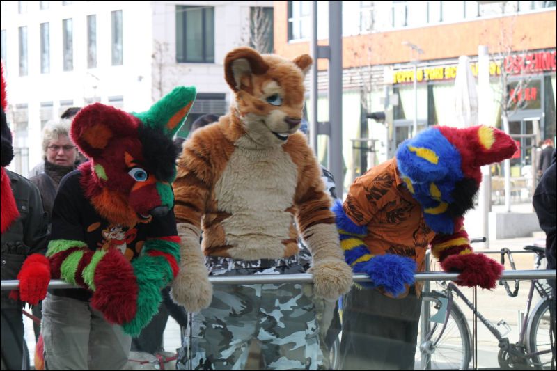 [Furmeet_Dresden_23032013_Nimmermehr (48).JPG]