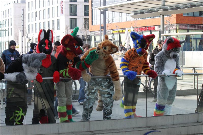 [Furmeet_Dresden_23032013_Nimmermehr (49).JPG]