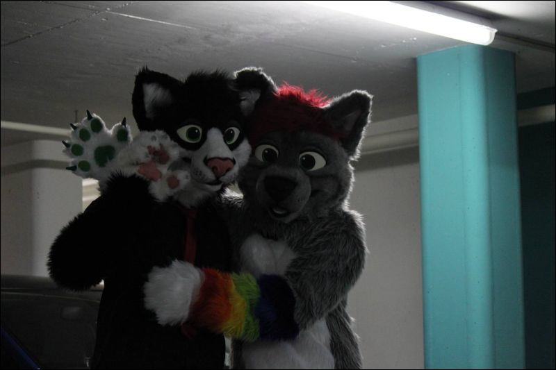 [Furmeet_Dresden_23032013_Nimmermehr (5).JPG]