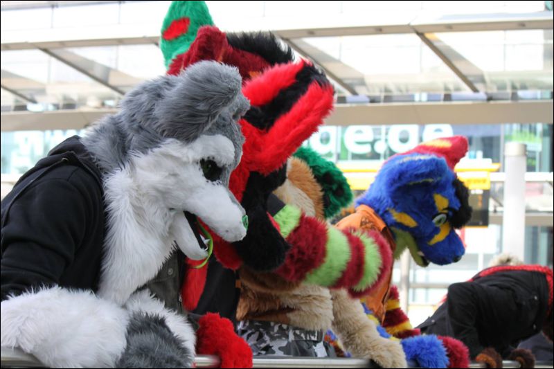 [Furmeet_Dresden_23032013_Nimmermehr (50).JPG]