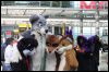 [Furmeet Dresden 23032013 Nimmermehr (51)]