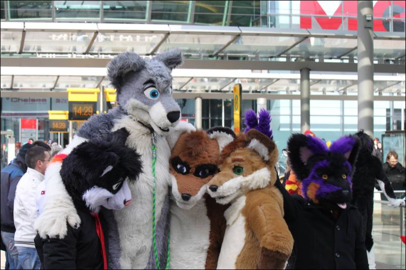 [Furmeet_Dresden_23032013_Nimmermehr (51).JPG]