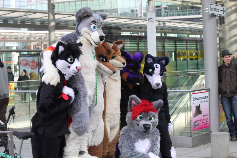 [Furmeet_Dresden_23032013_Nimmermehr (53).JPG]