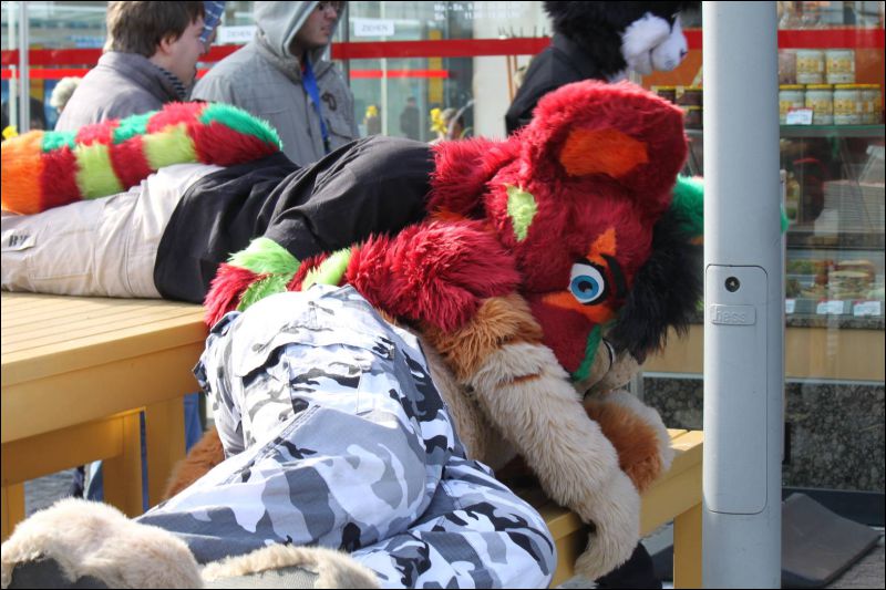 [Furmeet_Dresden_23032013_Nimmermehr (58).JPG]