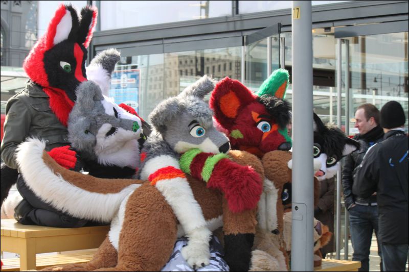 [Furmeet_Dresden_23032013_Nimmermehr (61).JPG]