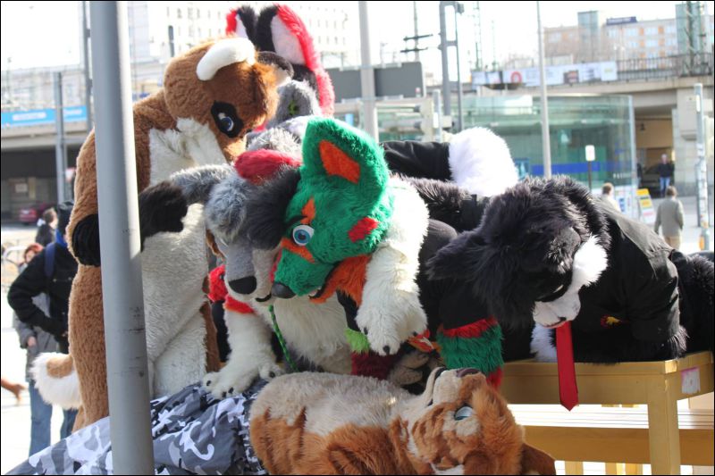 [Furmeet_Dresden_23032013_Nimmermehr (62).JPG]